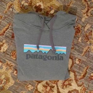 Nice Patagonia Sweatshirt